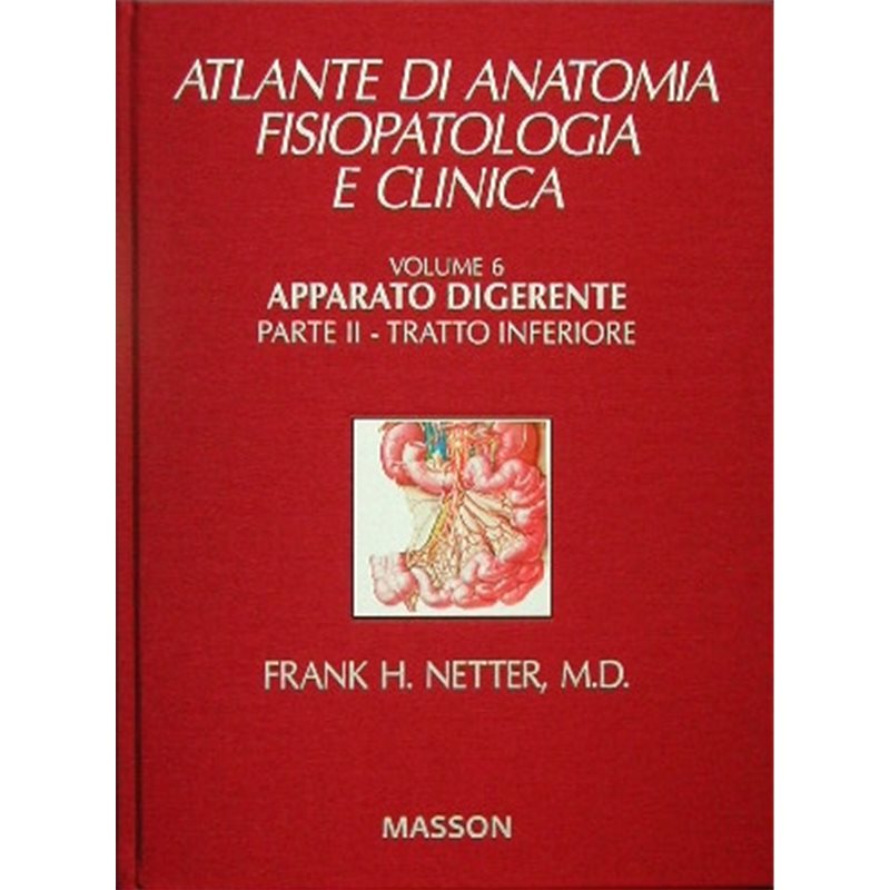 Volume 6 - Apparato digerente - Parte II: Tratto inferiore + IN OMAGGIO Acronimi in medicina